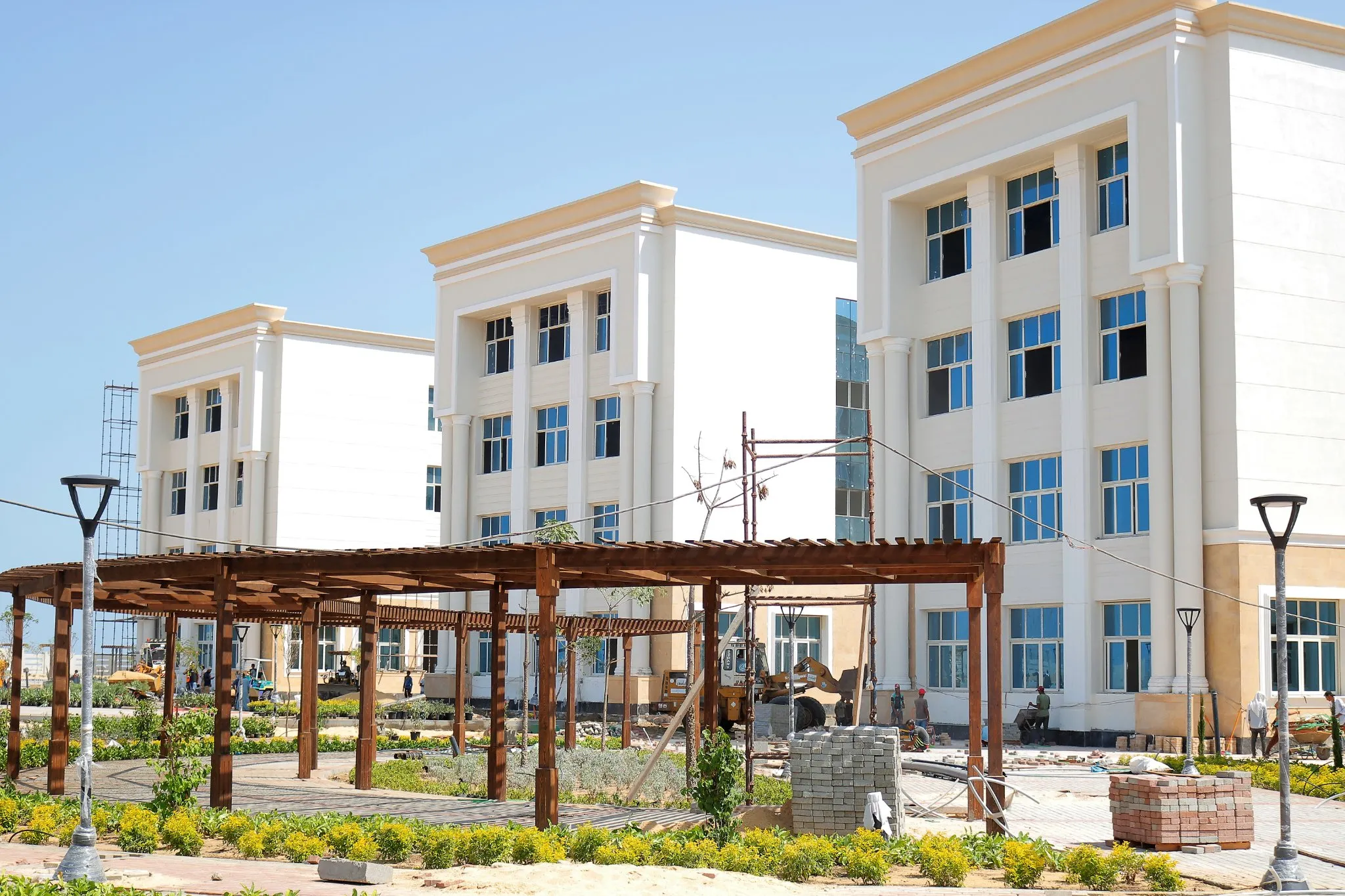 مصاريف الدراسات العليا كلية الحقوق جامعة المنصورة