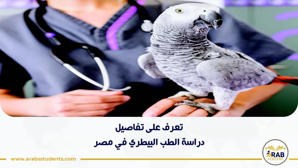 دراسة الطب البيطري في مصر