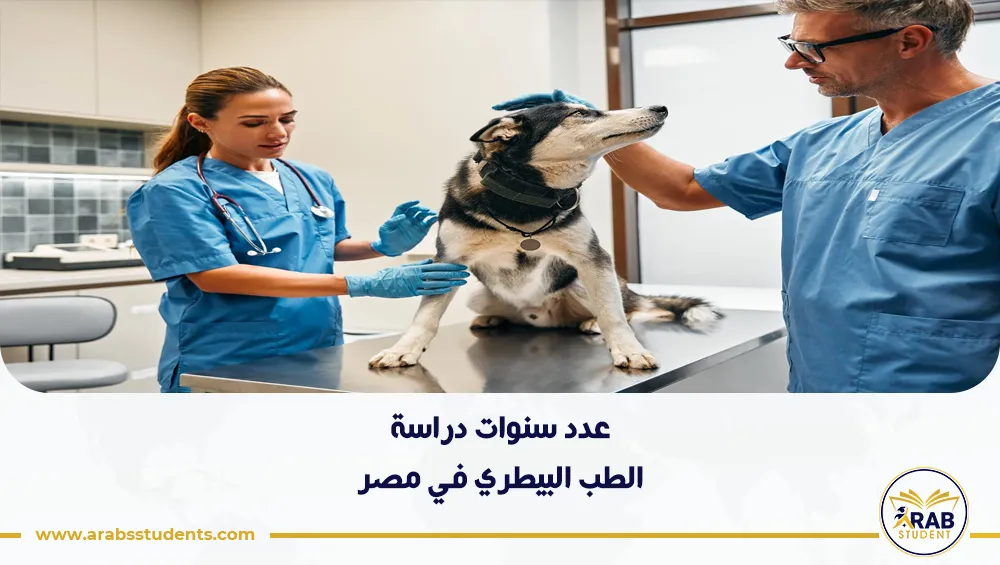 عدد سنوات دراسة الطب البيطري في مصر
