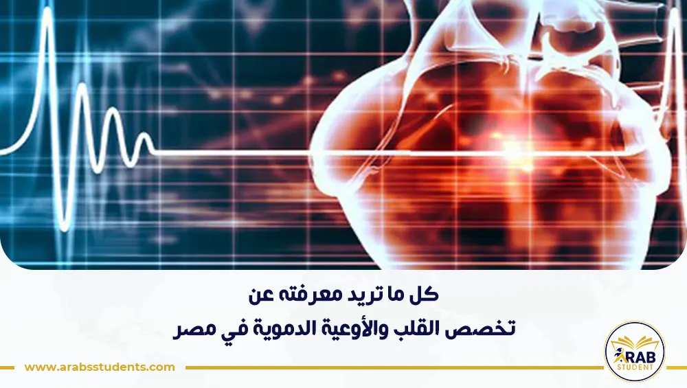 تخصص القلب والأوعية الدموية في مصر