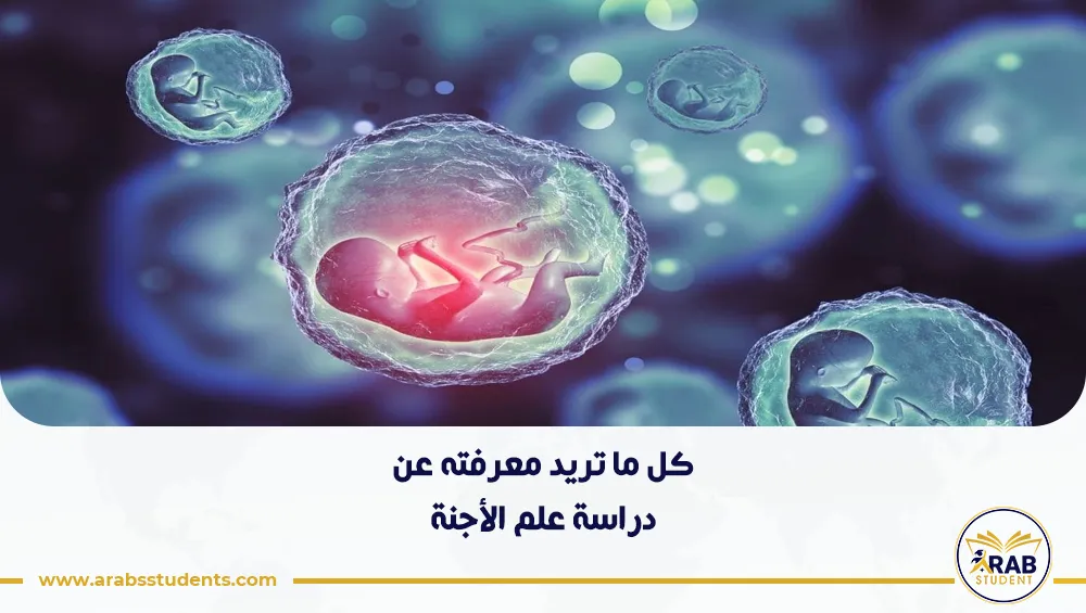 دراسة علم الأجنة في ايطاليا
