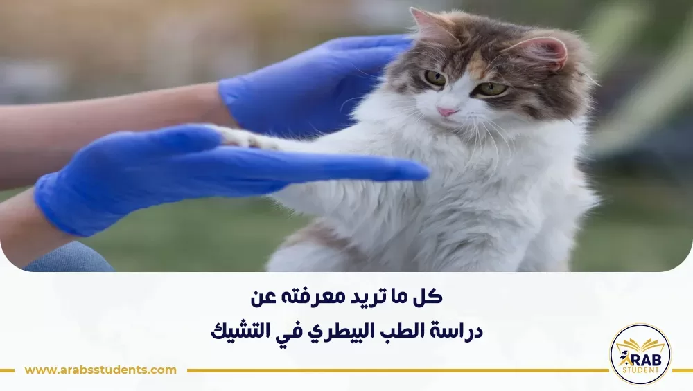 دراسة الطب البيطري في التشيك