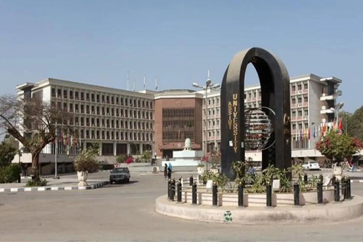 جامعة أسيوط كلية الهندسة