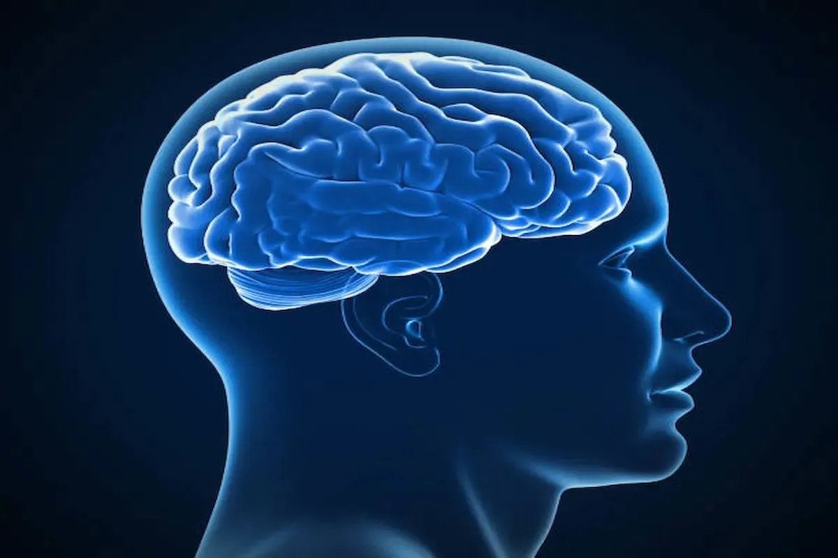 تخصص علم النفس كم يحتاج نسبة