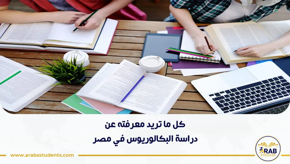 دراسة البكالوريوس في مصر